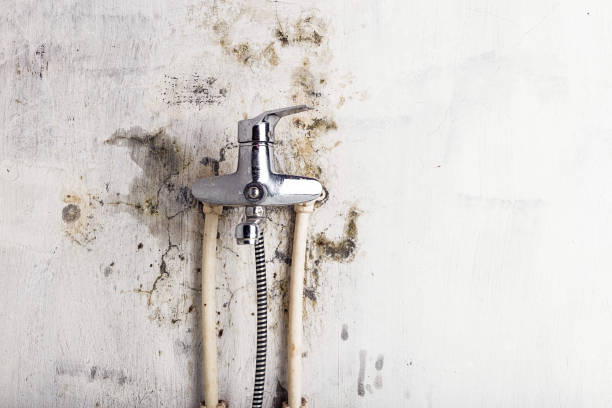 Best Mold Cleaning Services  in Oronoque, CT