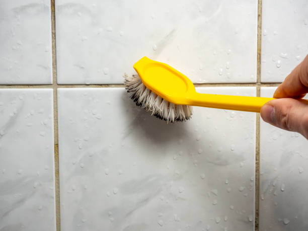 Best Mold Remediation  in Oronoque, CT