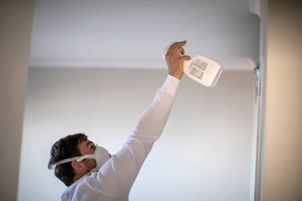 Best Fast Mold Removal  in Oronoque, CT