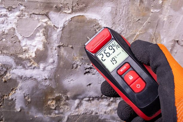 Best Mold Damage Repair  in Oronoque, CT