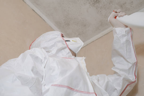 Best Commercial Mold Removal  in Oronoque, CT