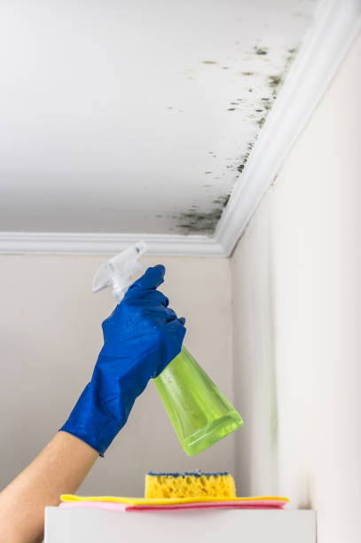 Best Mold Testing  in Oronoque, CT